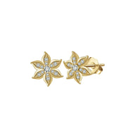 14K gold marquise flower stud earrings in 925 silver with AAAAA zirconia