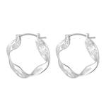 Load image into Gallery viewer, Vintage Irregular Wavy Lines Hoop Earrings 925 Sterling Silver Geometric Series