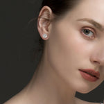 Load image into Gallery viewer, Classic Round Full Cubic Zircon Earrings 925 Sterling Silver Luxury Series