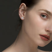 Classic Round Full Cubic Zircon Earrings 925 Sterling Silver Luxury Series